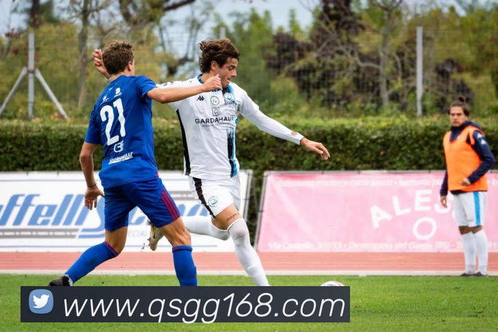 开云手机入口官网平台生态图